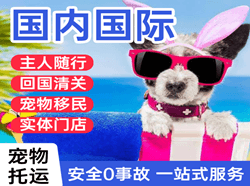 二连浩特机场快递国际宠物托运 【国